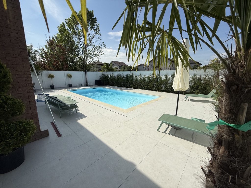 Pool with Palms
